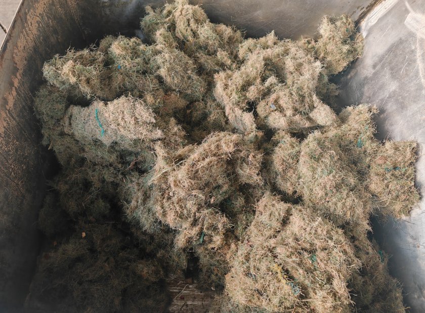 漁網